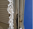 Rotten fasia and rusty gutters
